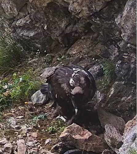 G. an Tränke 23.06.25