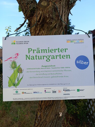 1725122672678101119795929138579