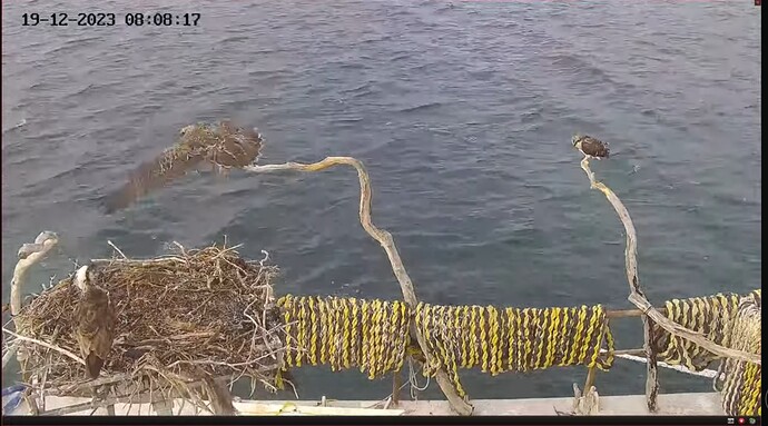 Screenshot_20231218_224219_YouTube