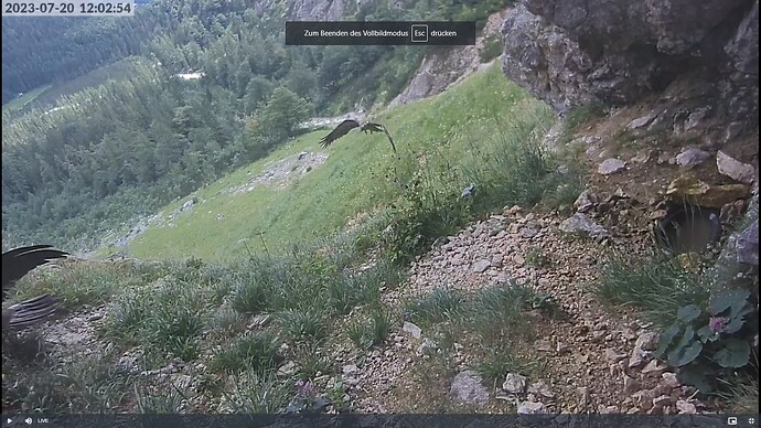 Screenshot (61)