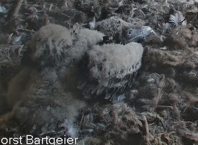 Ausschlafen 1 14.03.24