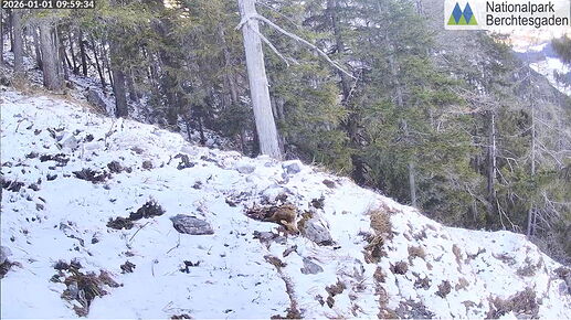 Snap_2026.01.01_10h00m07s_002_