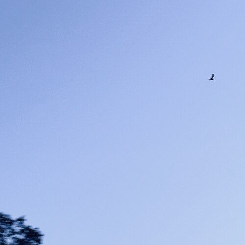 IMG_7863