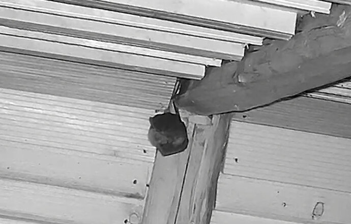 Vollbildaufzeichnung 07.12.2025 170127