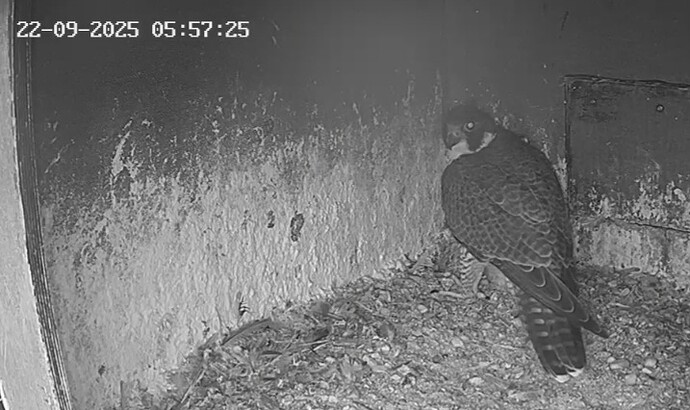 Screenshot_20250922_065159_Chrome