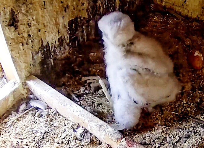 Screenshot_20230514-110908-01