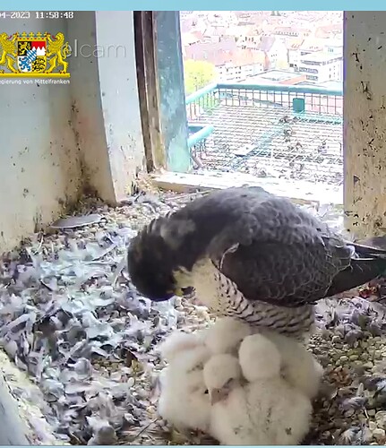 Screenshot_20230414-115916~2