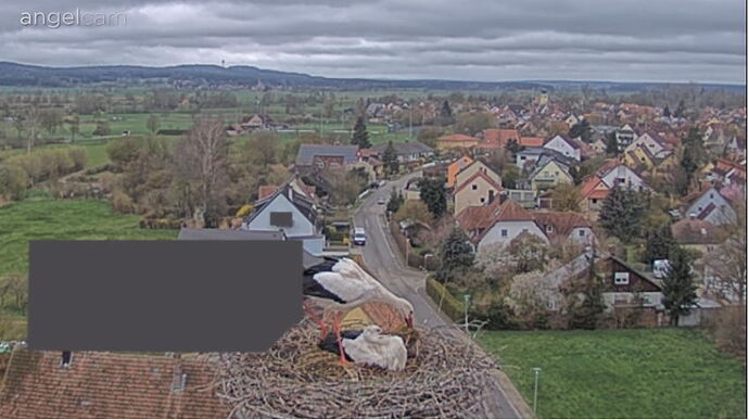 Snap_2023.04.02_14h57m10s_013_