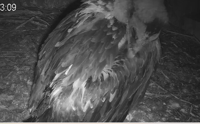 Nachts putzen 10.05.24