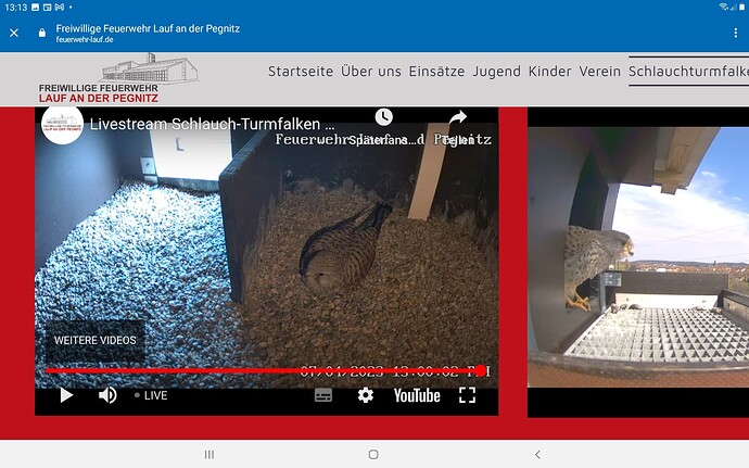 Screenshot_20230407-131315_Chrome