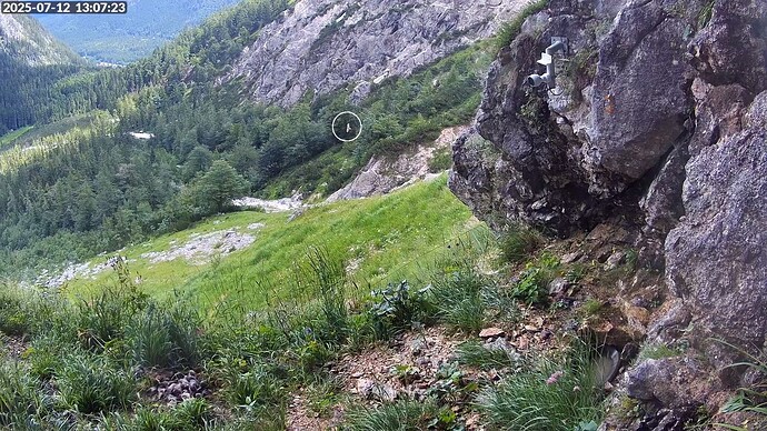 Bildschirmfoto vom 2025-07-12 13-07-47