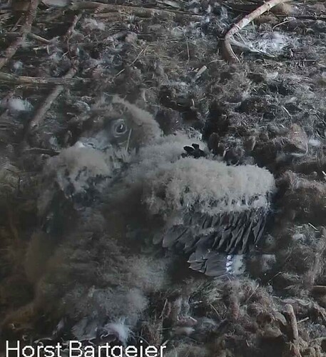 Mit einem Auge schau ich mal 14.04.24