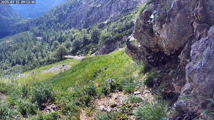 Bildschirmfoto vom 2025-07-15 09-12-54