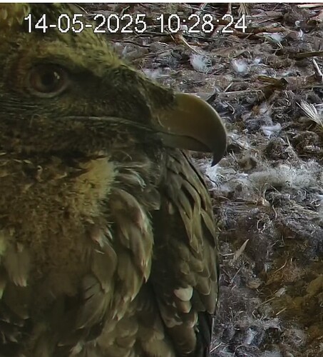 Profil Barti 14.05.25