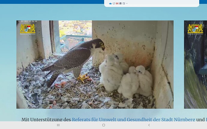 Screenshot_20230421-193700_Chrome