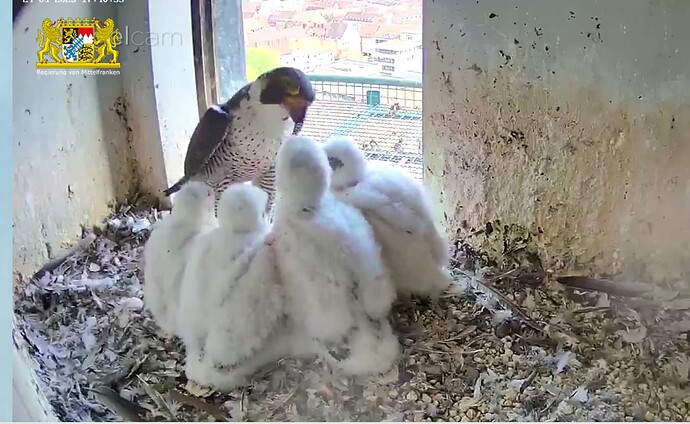 Screenshot_20230424-174115~2