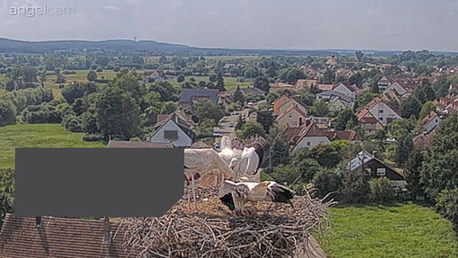 Snap_2024.07.20_15h38m44s_002_