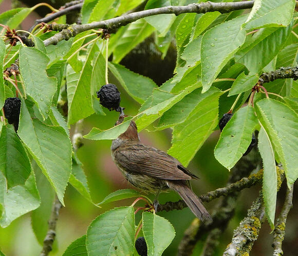 DSC04304