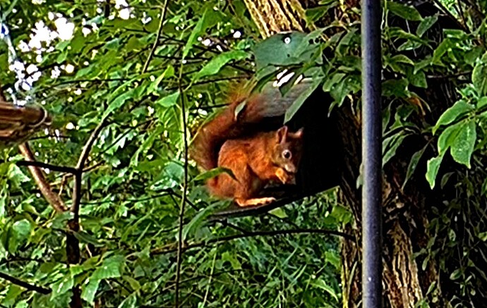 Screenshot_20240711_095120_Samsung Internet