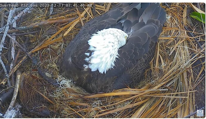 Screenshot 2023-12-17 134958