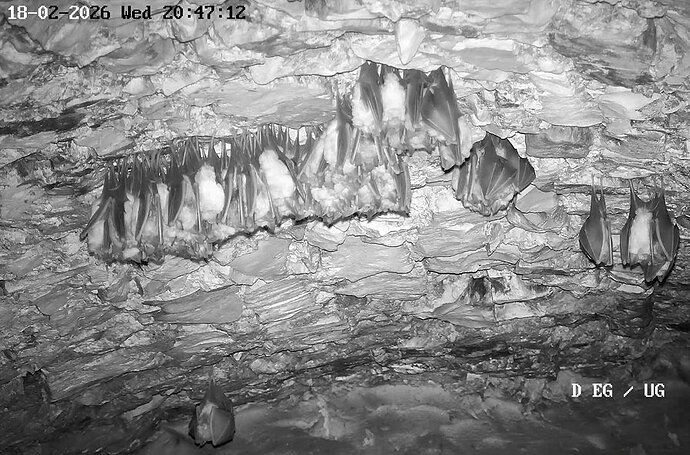 2026-02-18_1 ab 20.00 Kugel