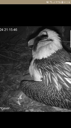 Screenshot_20240319-211628_Samsung Internet