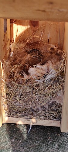 IMG_20240128_103812