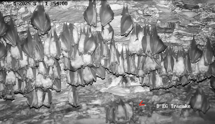 Vollbildaufzeichnung 30.11.2025 185412