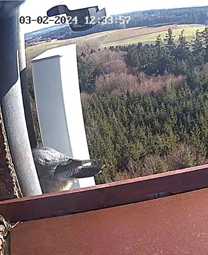 Screenshot_20240203_123253_Samsung Internet