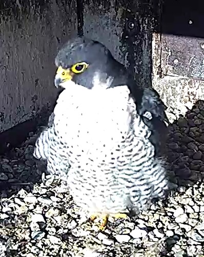 Screenshot_20240109-125103~2