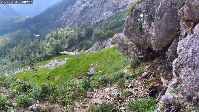 Bildschirmfoto vom 2025-06-20 09-09-37