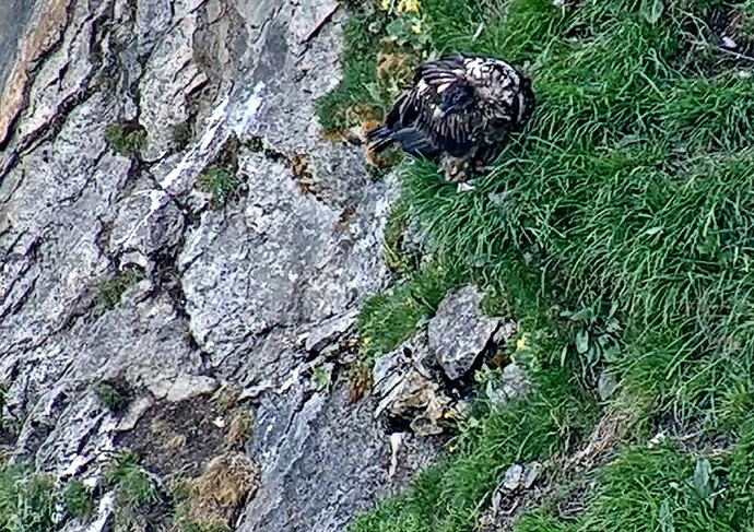 SnapShot-20260606_170026