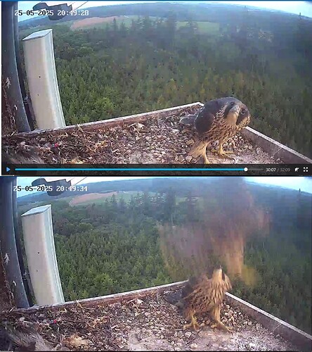 wer kommt denn da - crash