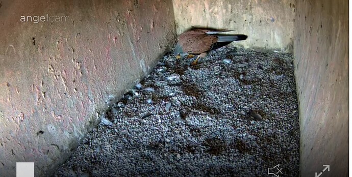 Screenshot_20240412-123815~2