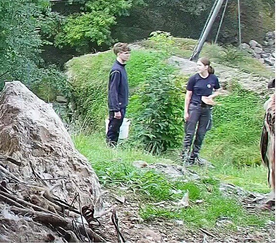 Lagebesprechung 05.08.25