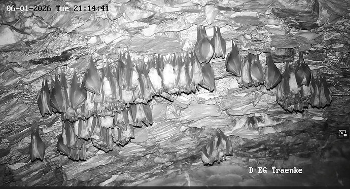 2026-01-06_3 ab 21.00 Cluster 7 Hufis