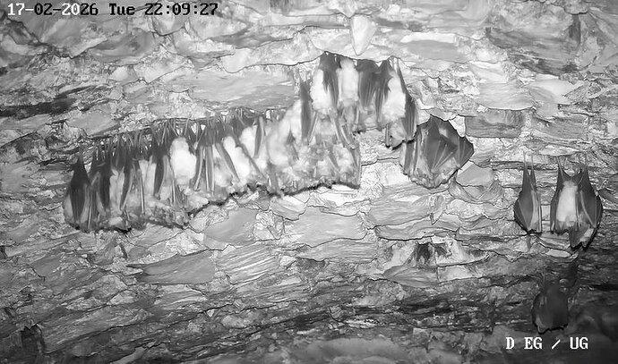 2026-02-17_1 ab 22.00 Kugel 1