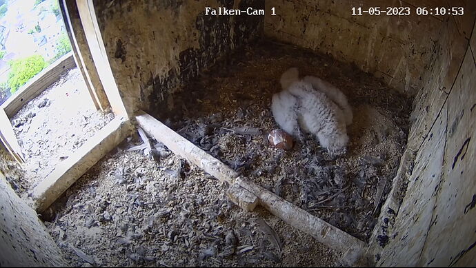 Snap_2023.05.11_06h11m20s_002_