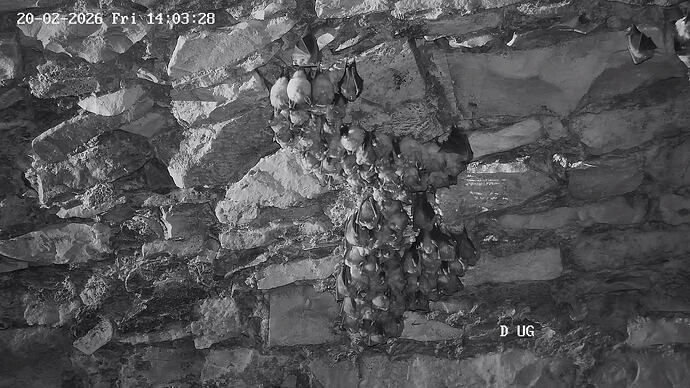 03 20260220140329156