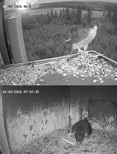 Screenshot_20260301_065600_Samsung Internet