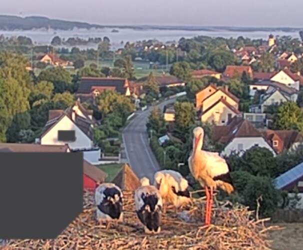 Screenshot_2025-06-17-05-50-18-380_com.android.chrome