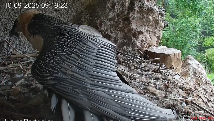 M ausgeschlafen 10.09.25