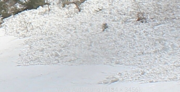 Screenshot_20230331_101827_Firefox