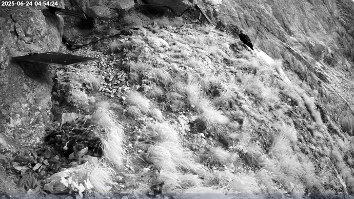 Bildschirmfoto vom 2025-06-24 04-54-46