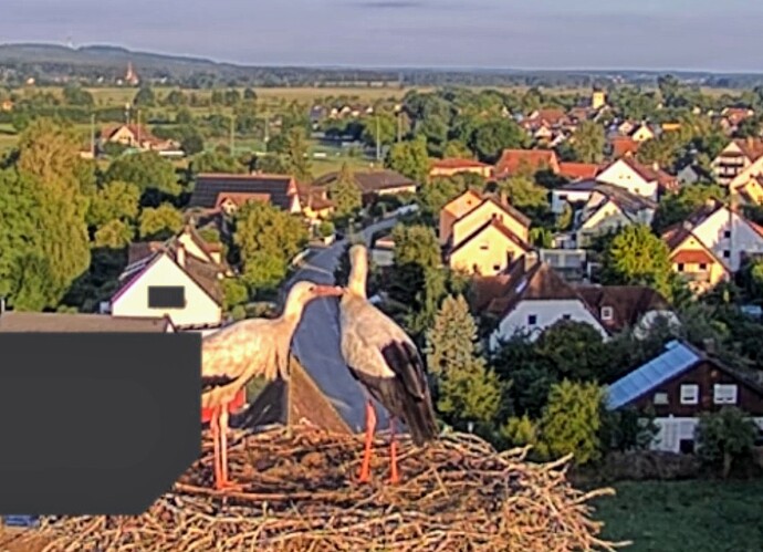 Screenshot_2025-07-23-06-31-21-362_com.android.chrome