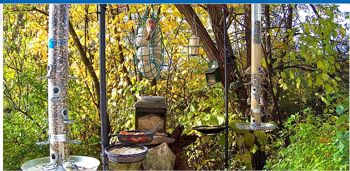 Screenshot_20251101-093149~2