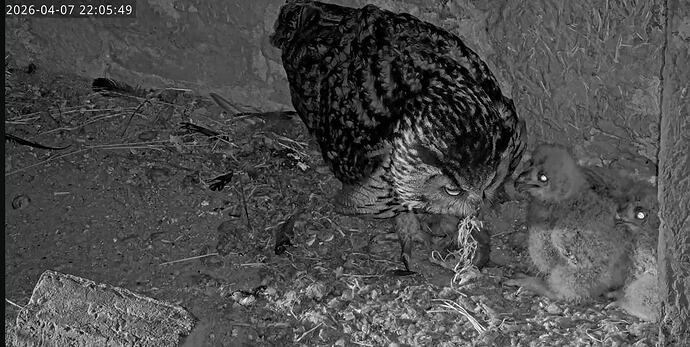 Screenshot_20260407_220637_YouTube