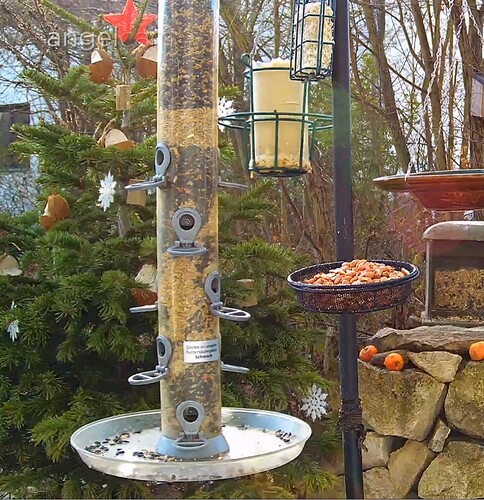 Screenshot_20221227-134404_Chrome