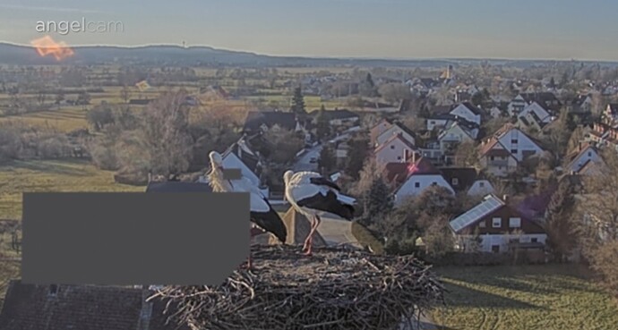 Screenshot_20260115_152907_Samsung Internet