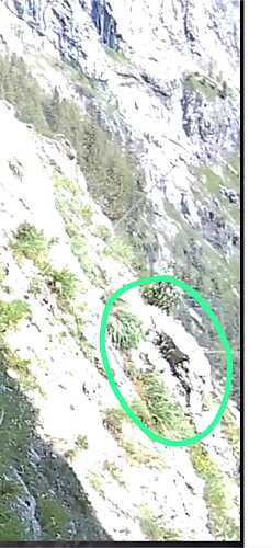 IMG-20240628-WA0002